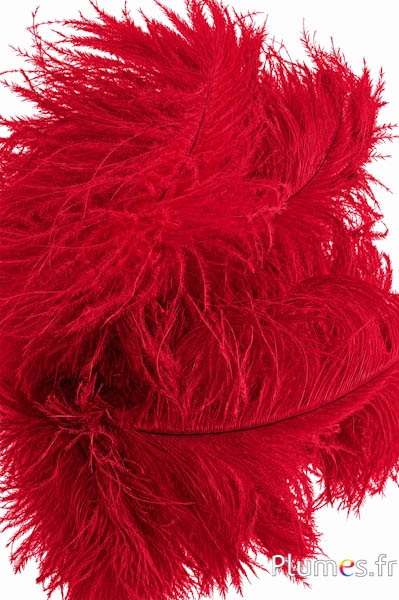 Struisvogel - 30-40 cm - donkerrood